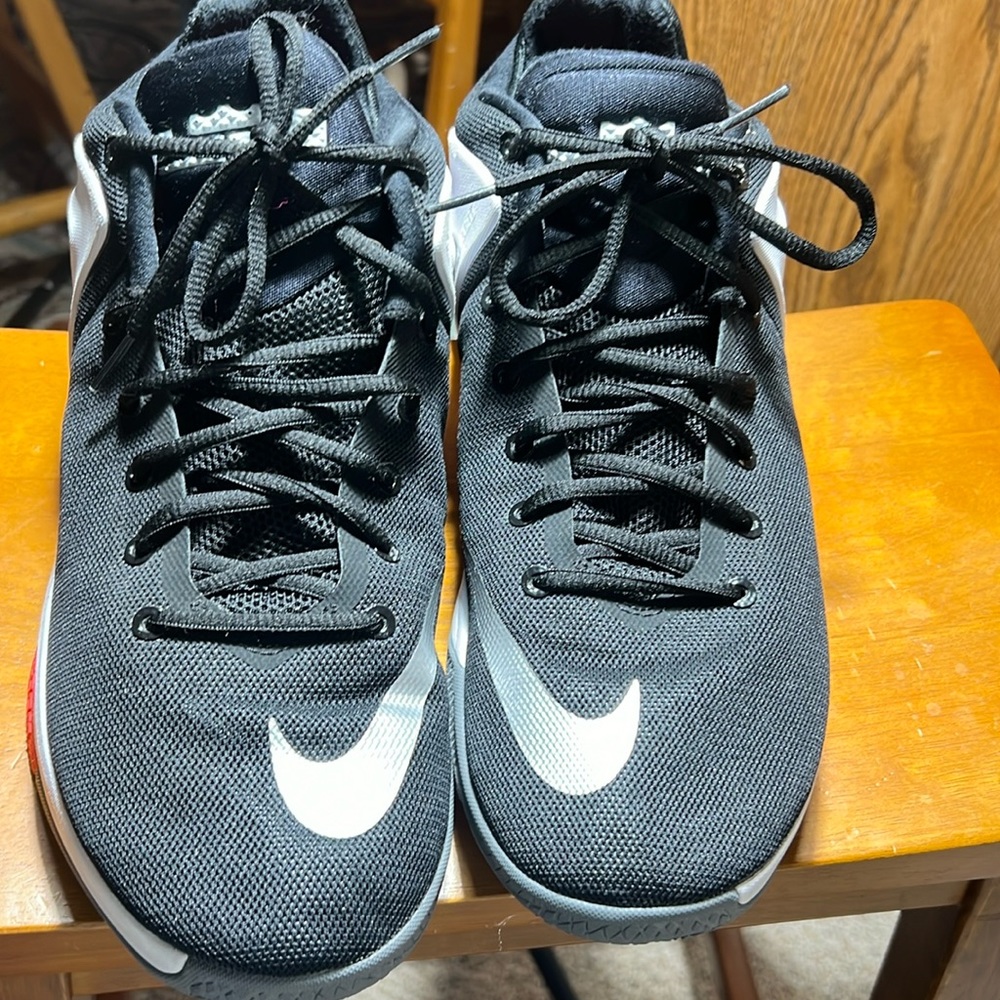 LE. Le BrownJames Zoom Witness signature Shoes size Nike size 11 .5 USA